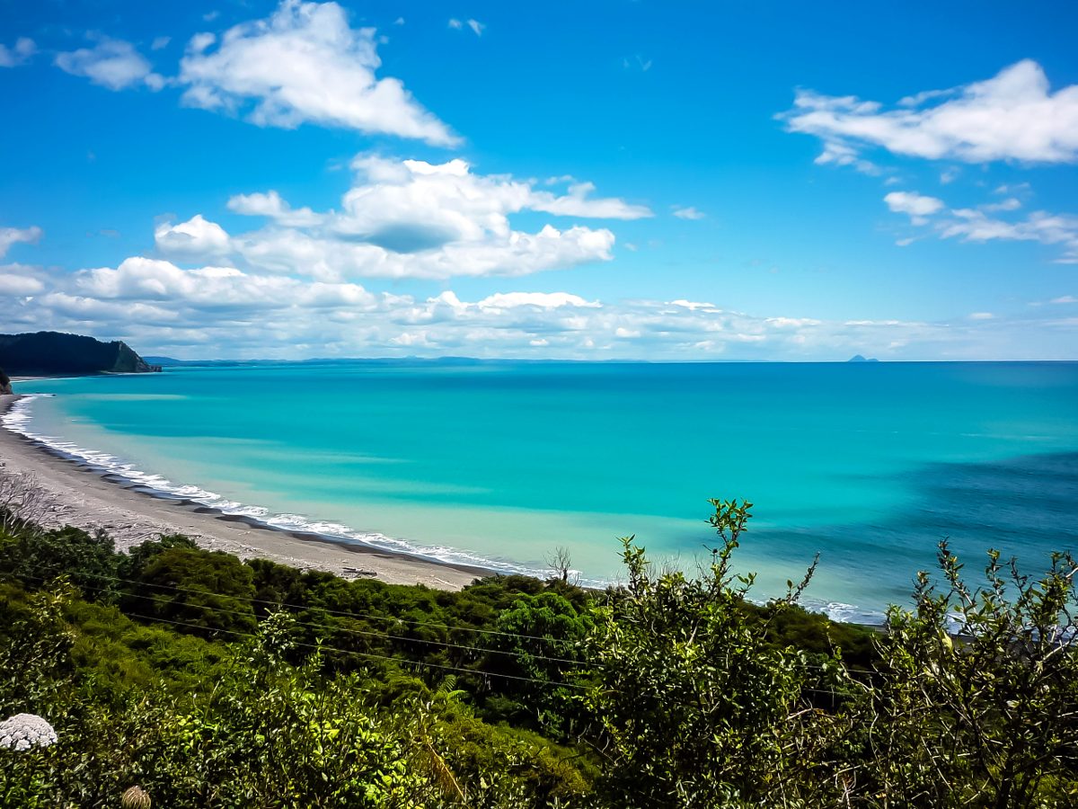 East Cape view: ocean and beach on a sunny summer day