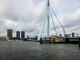 Erasmus bridge in Rotterdam