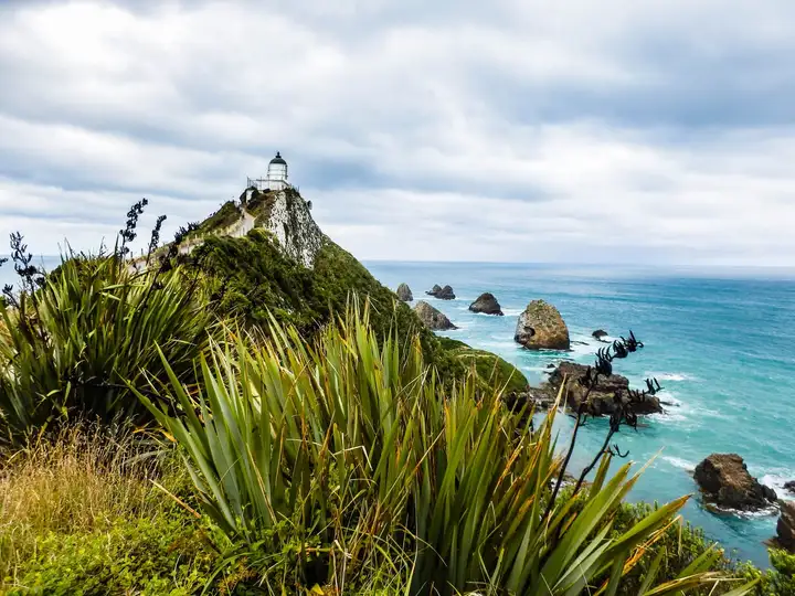 Nugget Point in NZ