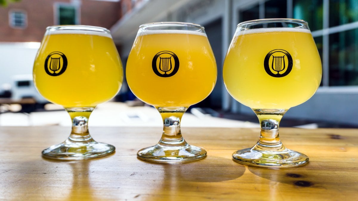 Orpheus Brewing - tasting sours