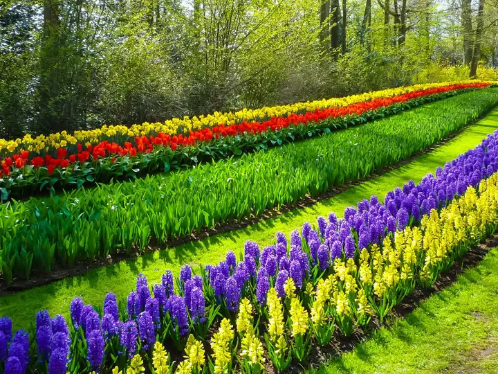 Flowers, the ultimate mood boosters!