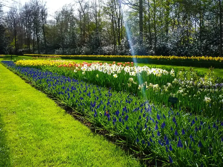Every flower tells a story!