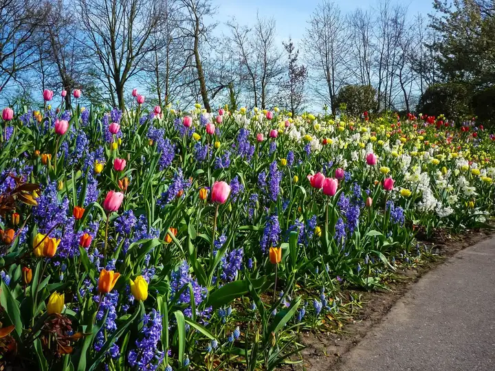 Keukenhof, the ultimate garden escape!