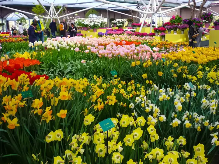 A riot of colors and fragrances in full bloom!