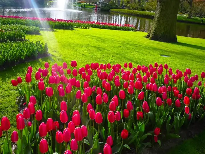 Sunshine and flowers, what's not to like?