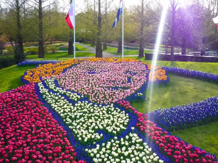 Flower art at the Keukenhof