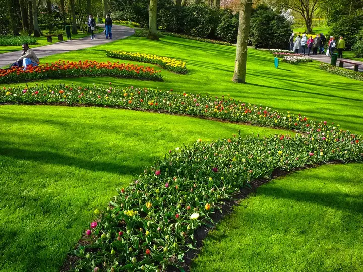 Keukenhof flower show