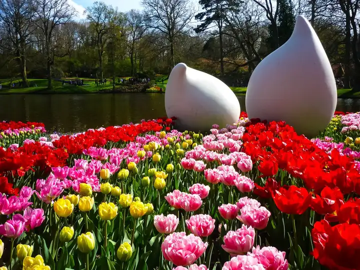 So many different colours at the Keukenhof flower show