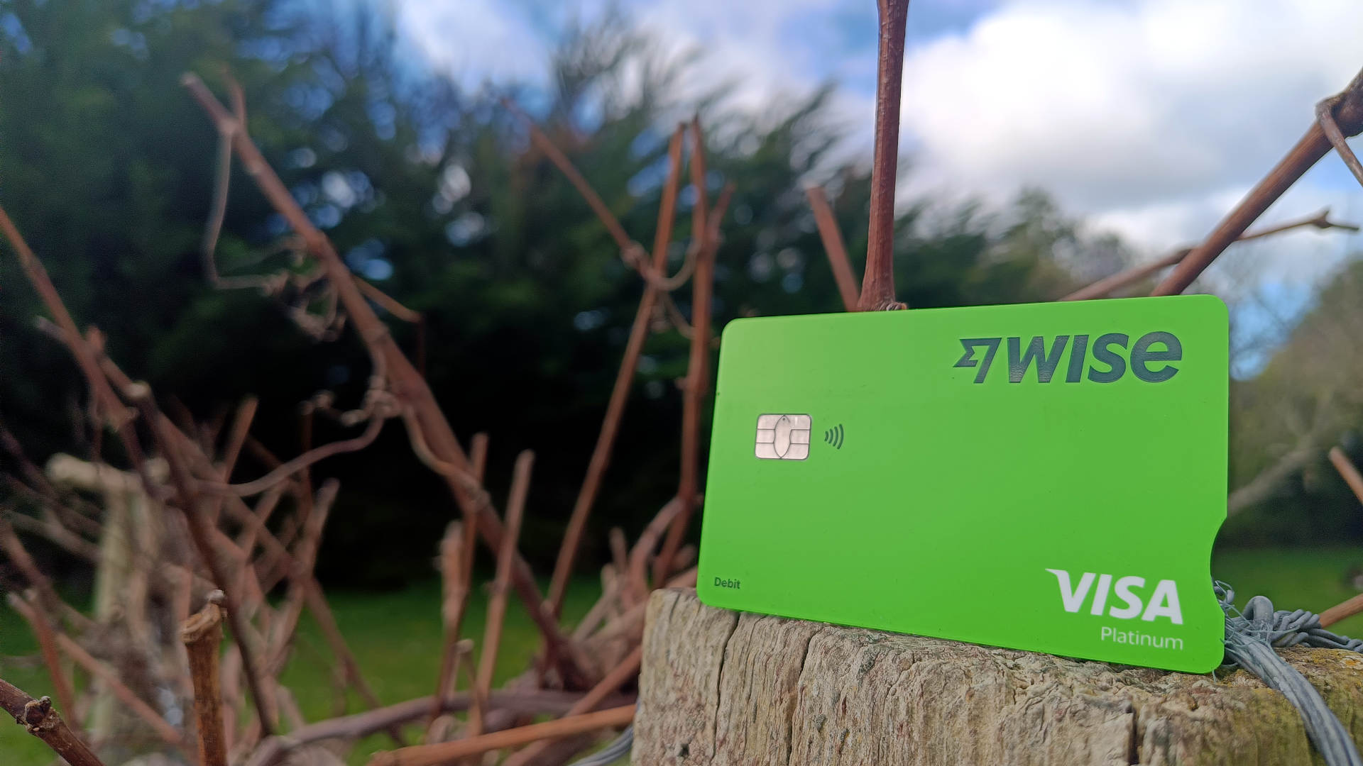 Wise card standing on a pole in a garden setting on a sunny day