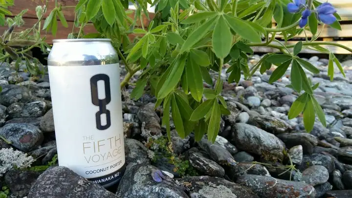Can of Ground Up's Fifth Voyage stout on rocks / garden setting