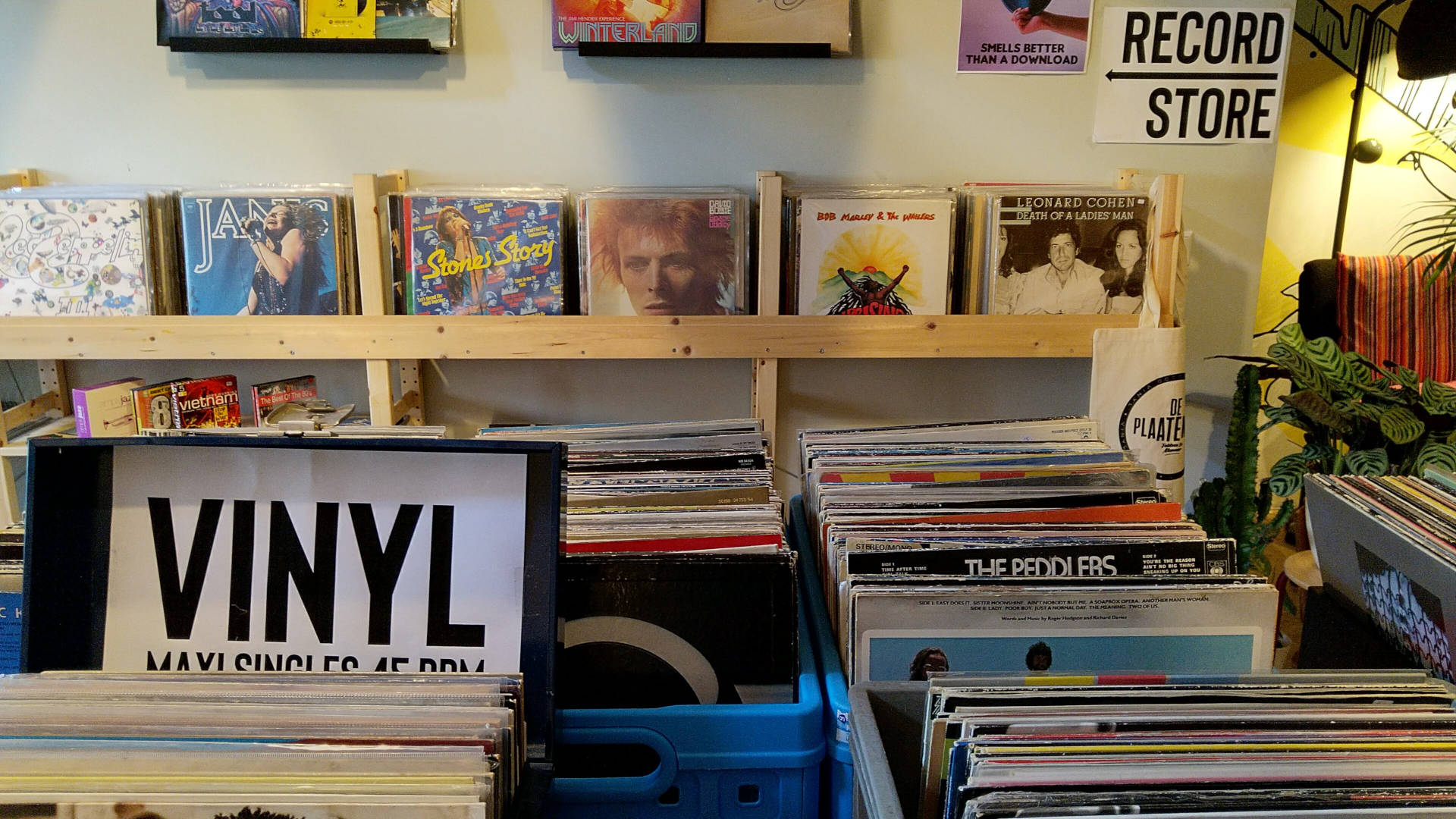 Record store photo: close up of bins packed with vinyl