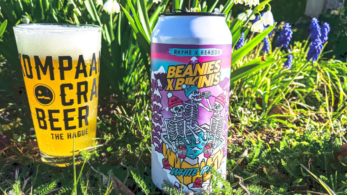 Kompaan beer glass (filled) in grass next to a can of craft beer on a sunny day