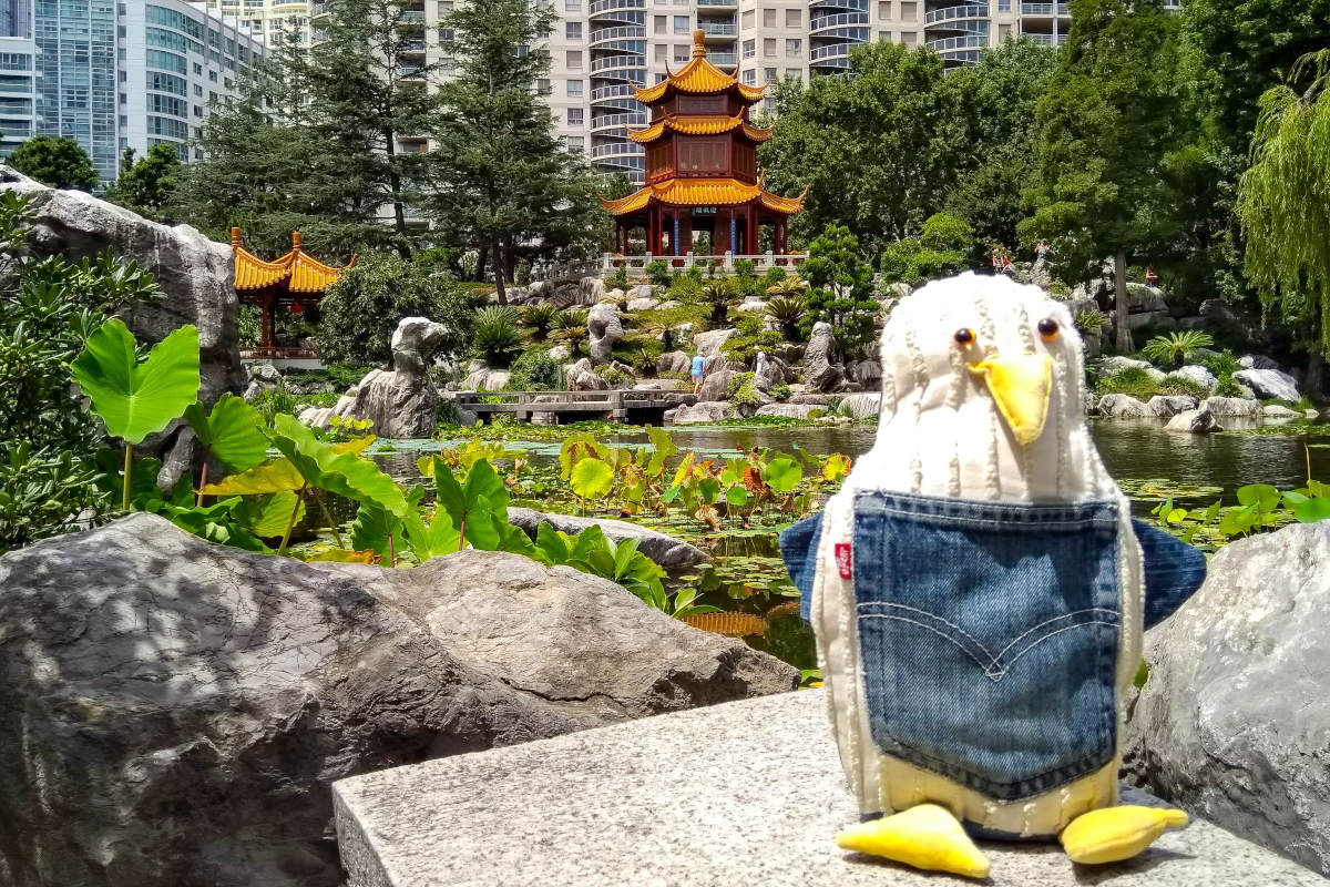 Stuffed animal (Pengi the penguin) posing in front of the Chinese Garden of Friendship in Sydney