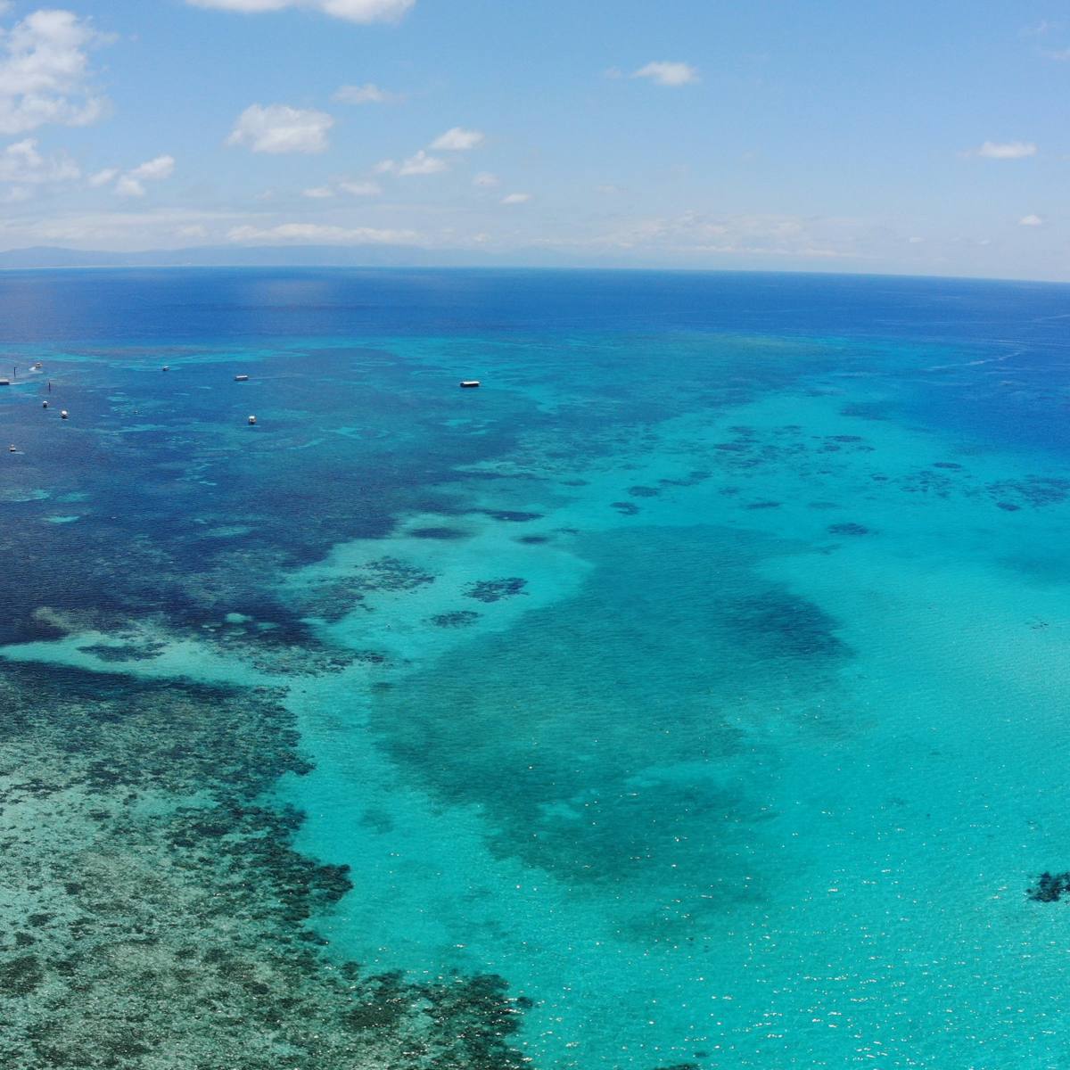 Aerial view of Great Barrier Reef: blue water and endless reef