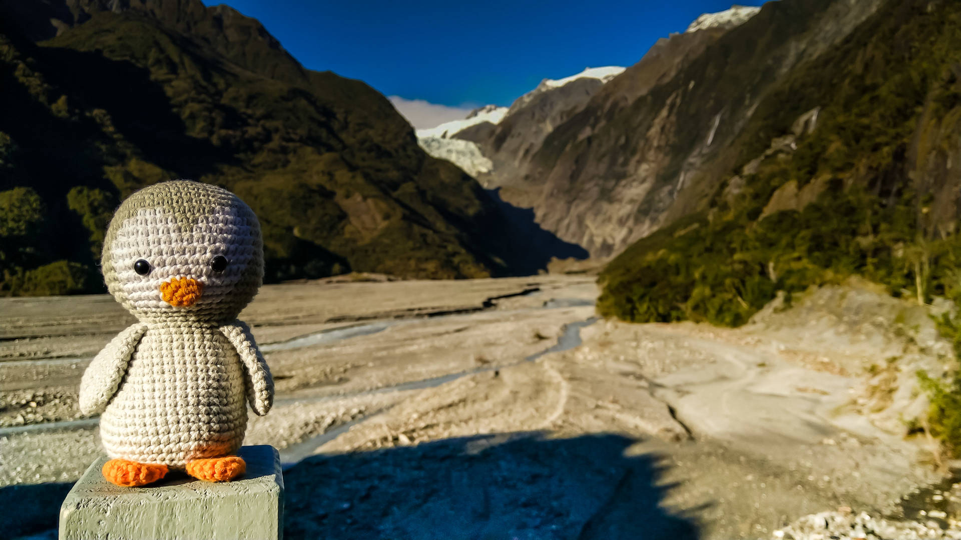 Frosty (crochet penguin) at Fox Glacier in New Zealand