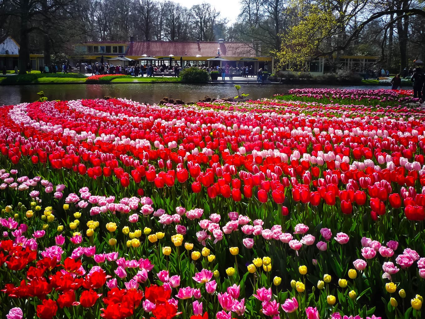 Plan Your Trip To Keukenhof The Worlds Largest Flower Garden