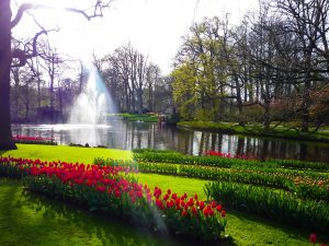 Get ready for a bloomin' good time at Keukenhof