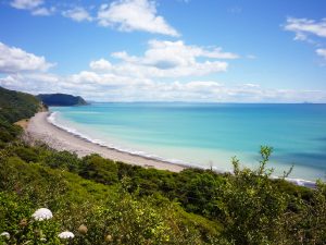 NZ summer road trip - beach